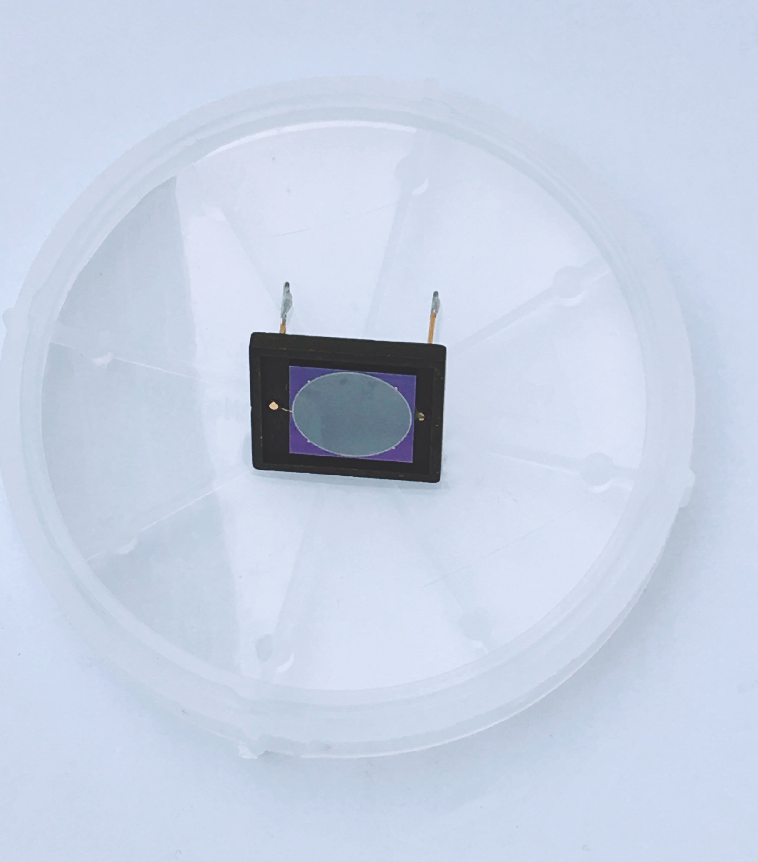 直径10mm的PIPS探测器（针脚）